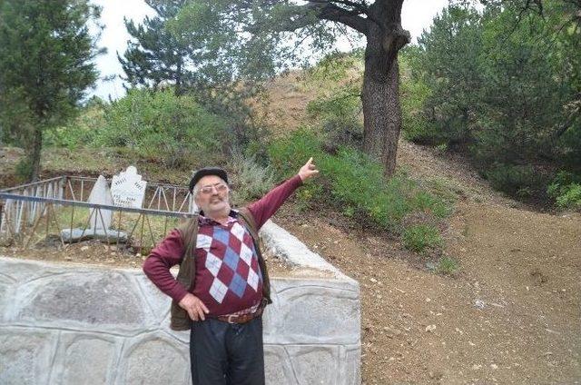 T&uuml;rbedeki &Ccedil;ınar Ağacının Sırrı 1