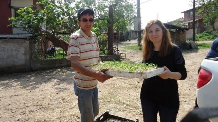 Kocaeli Organik &Uuml;r&uuml;nler Pazarı Kurulacak