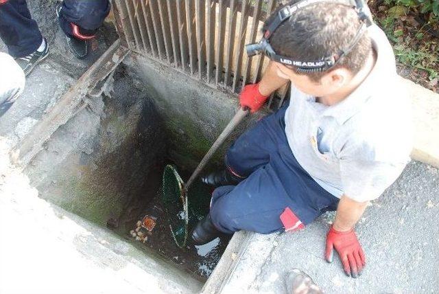 Kanalizasyona Düşen Yavru Kedi Vidanjörle Kurtarıldı
