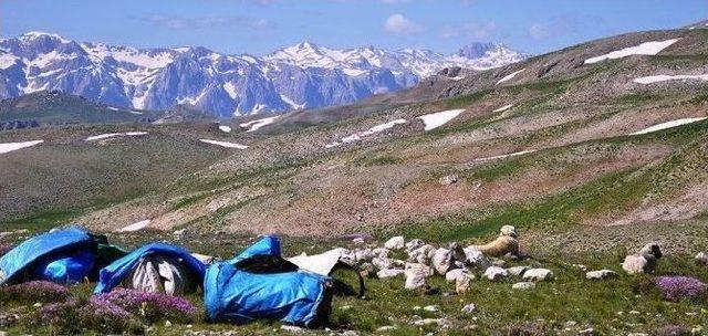 Pkk, Tunceli’de 2 Kardeşi Kaçırdı