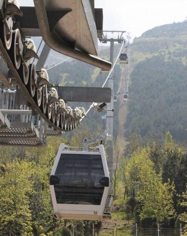 Teleferik Yine Arıza Yaptı, Tatilciler 1,5 Saat Mahsur Kaldı