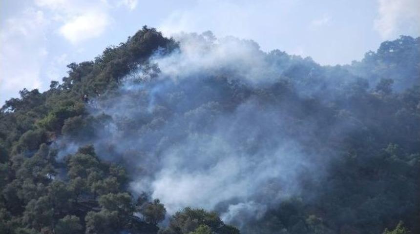 Aydın&rsquo;da Arazi Yangını