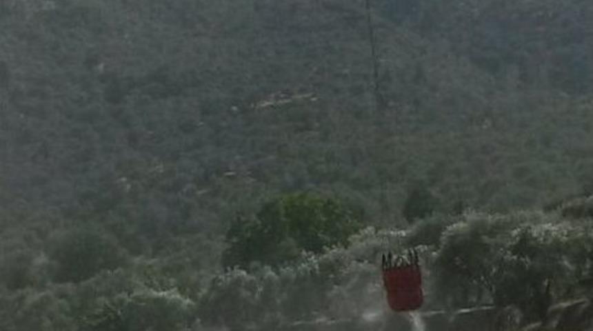 Bozdoğan&rsquo;ın Ciğerleri Bayramda S&ouml;nd&uuml;