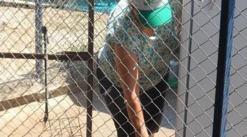 Hayad Bayramı Barınakta Kutladı