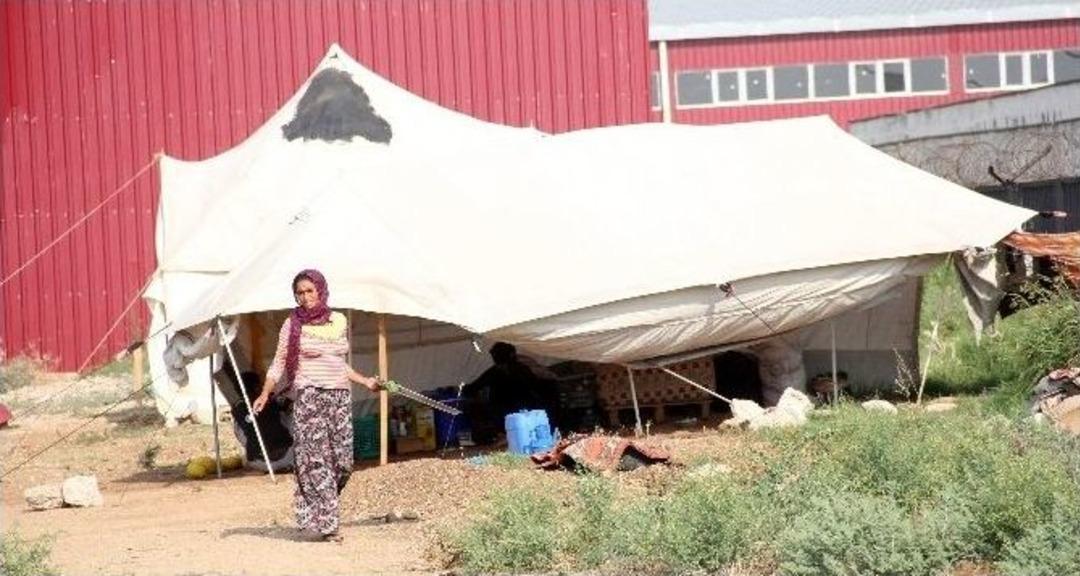 Bayrama &Ccedil;adırda Girdiler