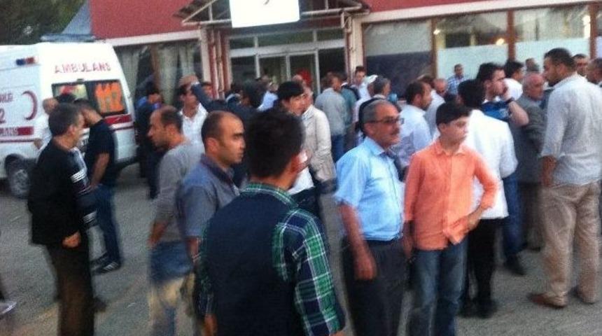 Giresun&rsquo;da Ayı Saldırısı: 1 Yaralı