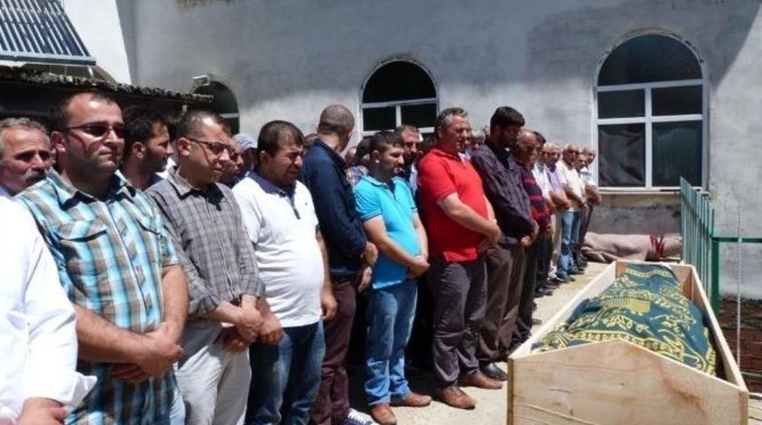 Artvin&rsquo;de Arı Can Aldı