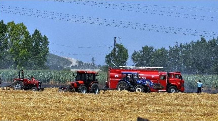 K&ouml;y Muhtarının Tarlasındaki Yangın Korkuttu