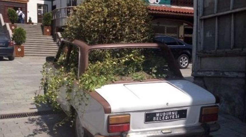 Turizm İ&ccedil;in Eski Model Arabaların İ&ccedil;ine &Ccedil;i&ccedil;ek Diktiler