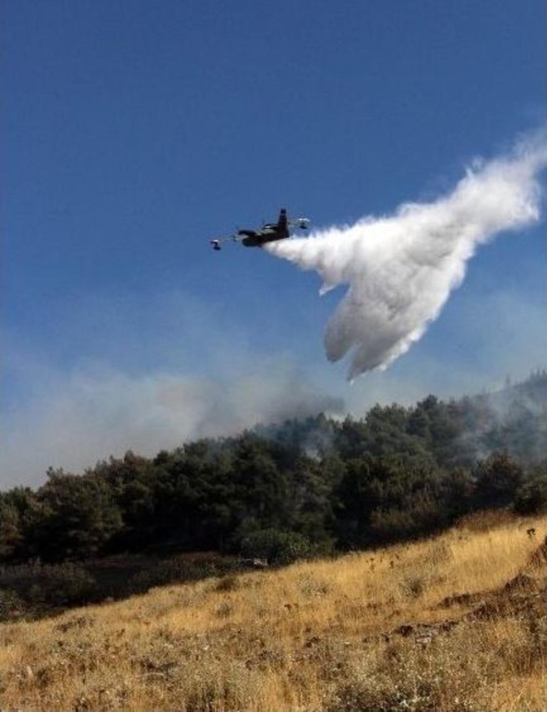 İzmir&rsquo;de Orman Yangını
