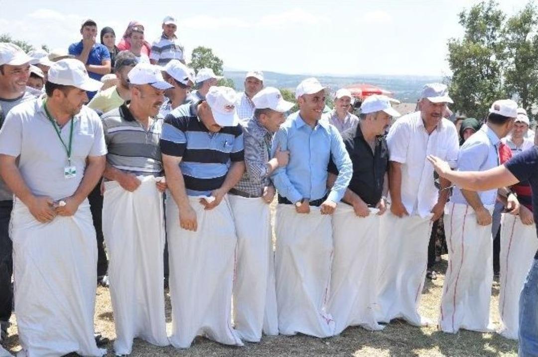 Havza Kamlık'ta Festival Coşkusu