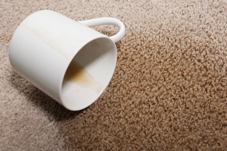 Halınızı bakteri ve lekelerden arındırın