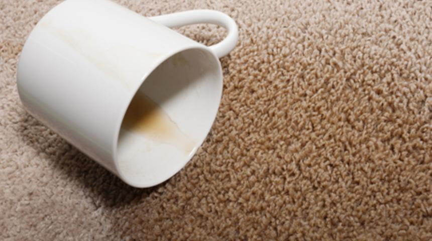 Halınızı bakteri ve lekelerden arındırın