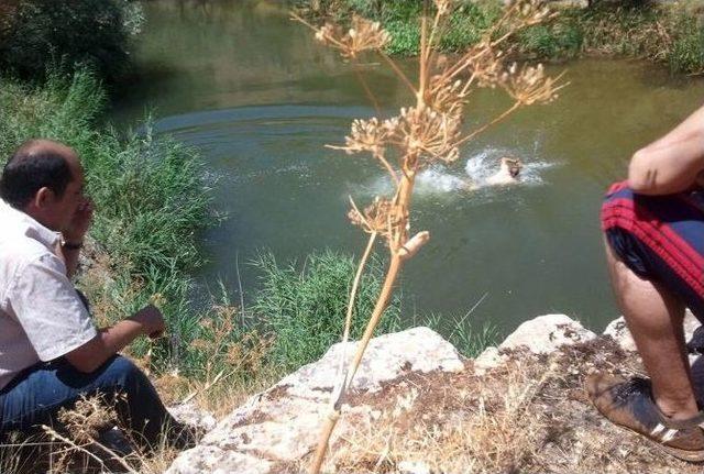 Balık Tutmak İsterken Derede Boğuldu