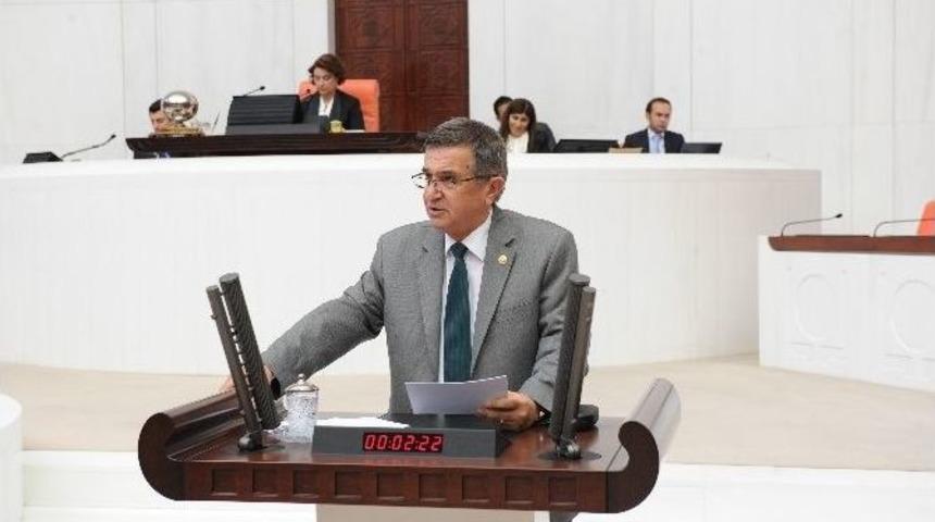 Bursalı Zeytin &Uuml;reticisinin Sesi Tbmm Genel Kurulu'na Taşındı