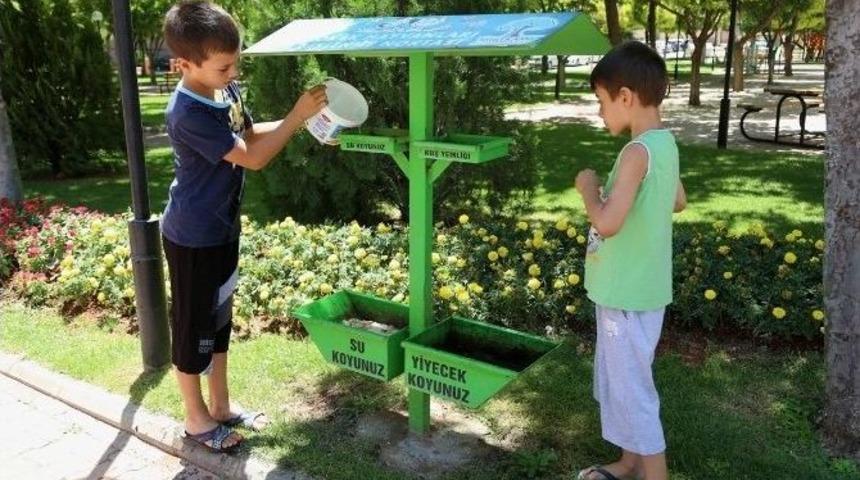 Şehitkamil Sokak Hayvanlarını Unutmuyor