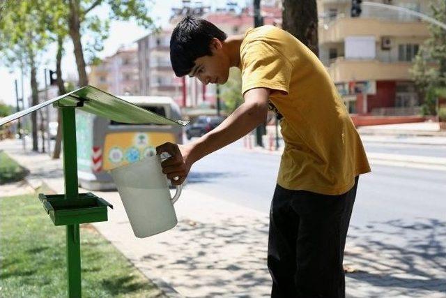 Şehitkamil Sokak Hayvanlarını Unutmuyor