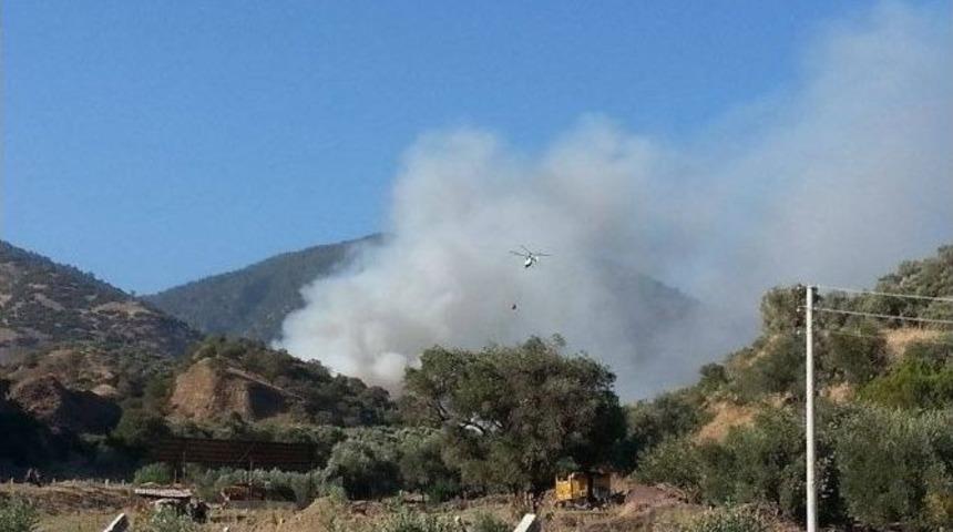 Kuyucak'ta Arazi Yangını