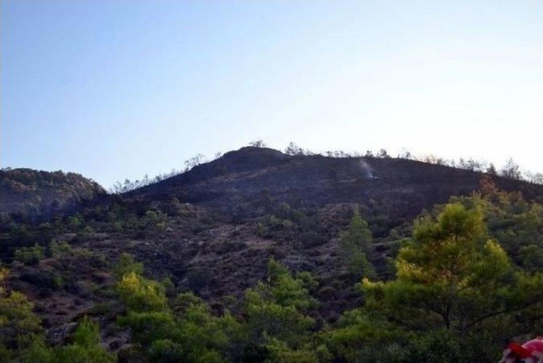 Dat&ccedil;a&rsquo;da 10 D&ouml;n&uuml;m Orman Alan K&uuml;l Oldu