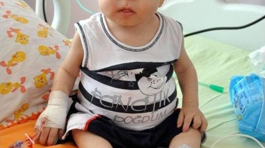 Minik Kaan Kendisine Uzanacak Yardım Elini Bekliyor