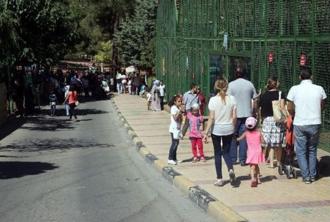 Hayvanat Bah&ccedil;esi Ziyaret&ccedil;i Akınına Uğradı