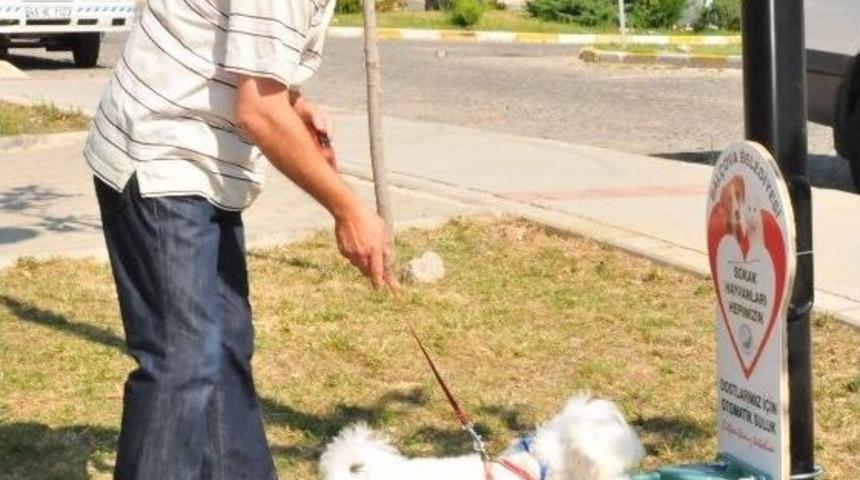 Bal&ccedil;ova'da Sevimli Dostlara &Ouml;zel Suluk