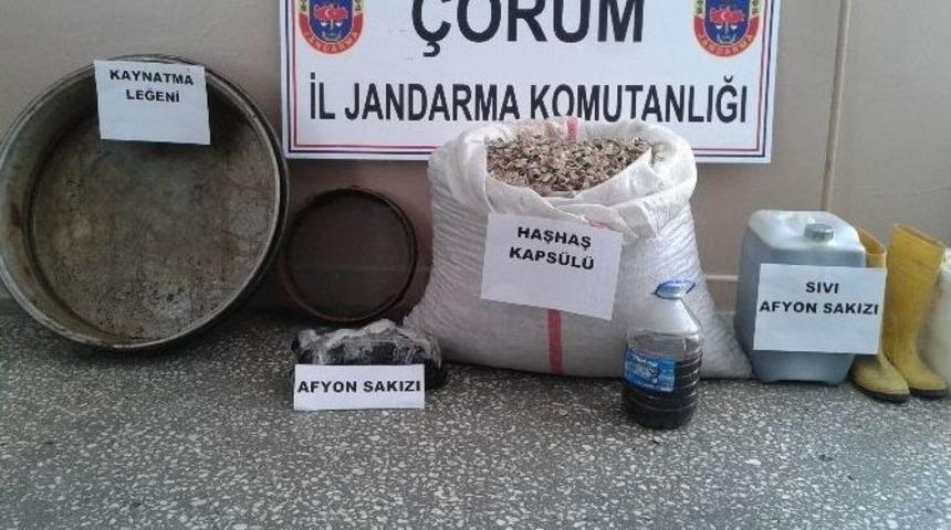 Jandarma&rsquo;dan Sakız Operasyonu