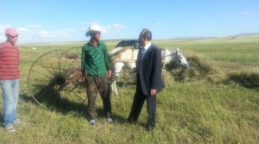 Kars Tarım M&uuml;d&uuml;r&uuml;nden &Ccedil;ift&ccedil;ilere Tarlada Ziyaret