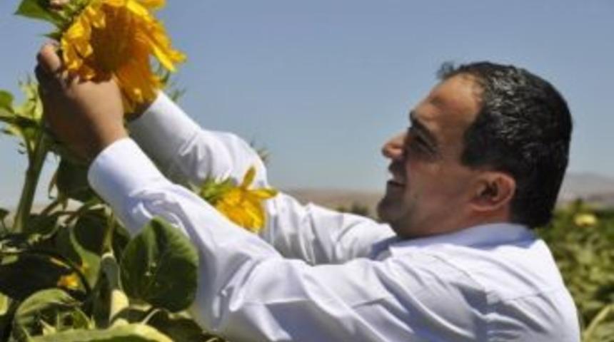 Aksaray'da &Ccedil;ekirdek &Uuml;retimi