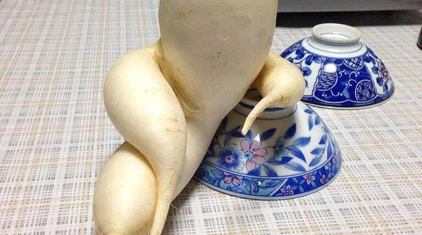 Bu meyveler yemelik değil, yanında yatmalık!