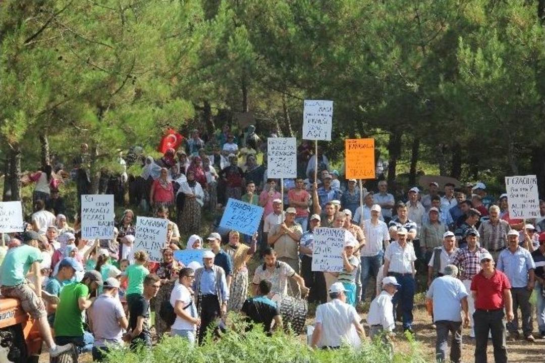 D&uuml;ğ&uuml;n Gibi Eylem