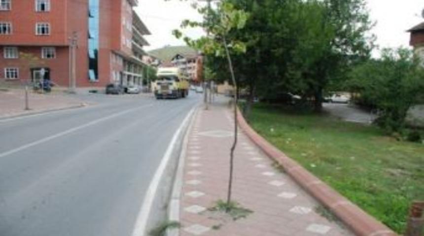 Yaya Yoluna Dikilen Fidanlar Uygun Alanlara Nakledilecek