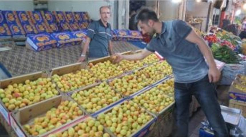 Malatya&rsquo;da Kayısı Pahalandı, Bayramda Hediye Paketleri Azaldı