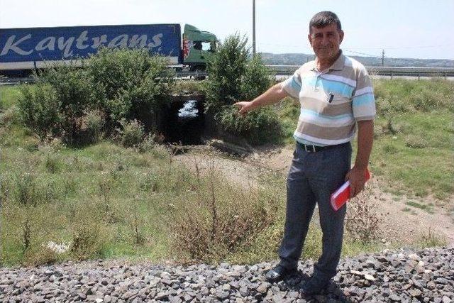 Yenikadın Köyü Sakinlerinin Yol Tepkisi