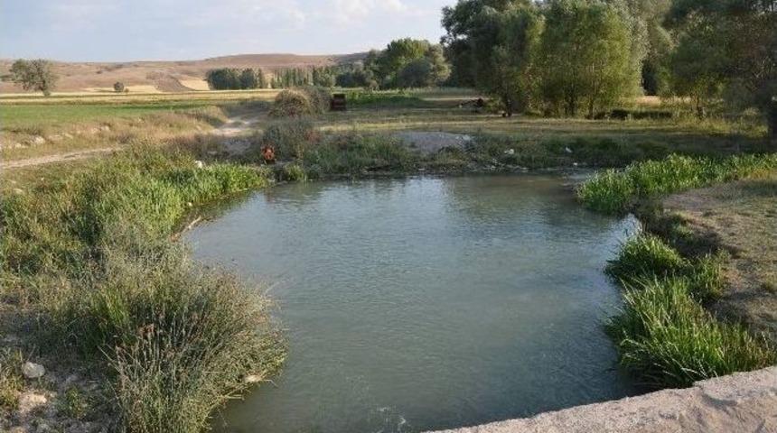 Tatil &Ouml;l&uuml;mle Bitti