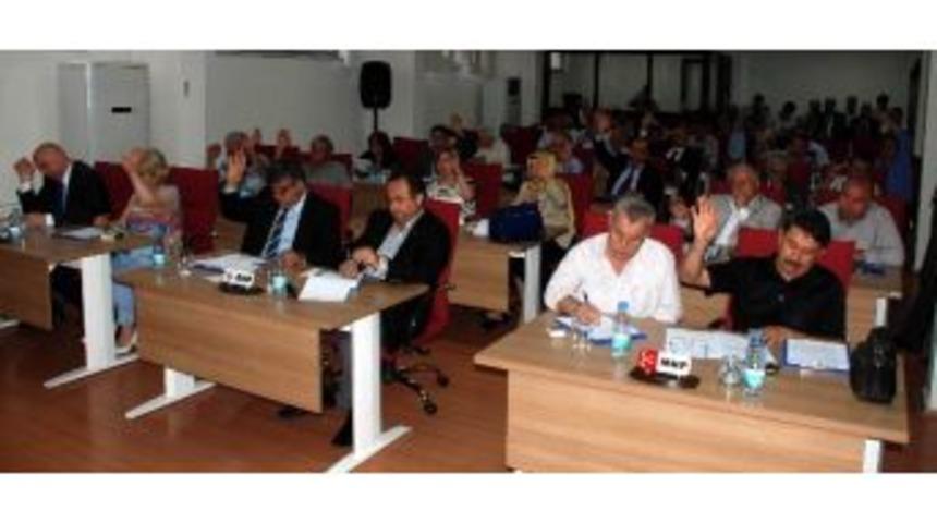 Efeler Meclisi &Ccedil;alışma Y&ouml;netmeliklerini G&ouml;r&uuml;şecek