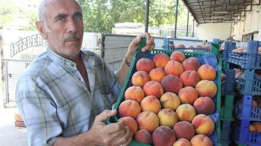 Şeftali İle Armut Altın Yılını Yaşıyor