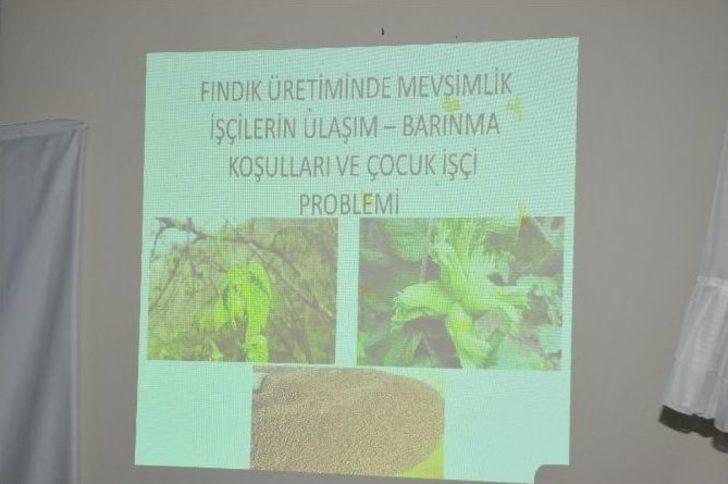 (özel Haber) Akçakoca’da ‘’mutlu Fındık ‘’projesi Hayata Geçiyor G2