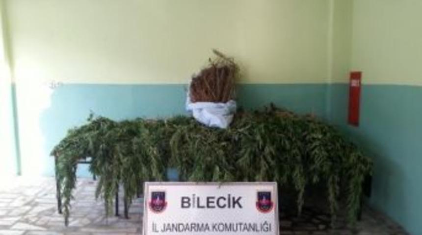 Jandarmadan Uyuşturucu Operasyonu