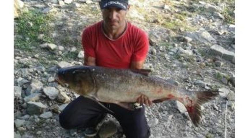 Meri&ccedil; Nehrinde 18 Kilogram Asya Sazanı Yakalandı