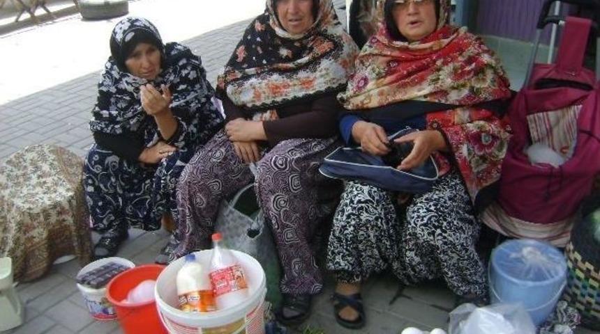 Köylü Kadınlar Aile Bütçelerine Katkı Sağlıyor