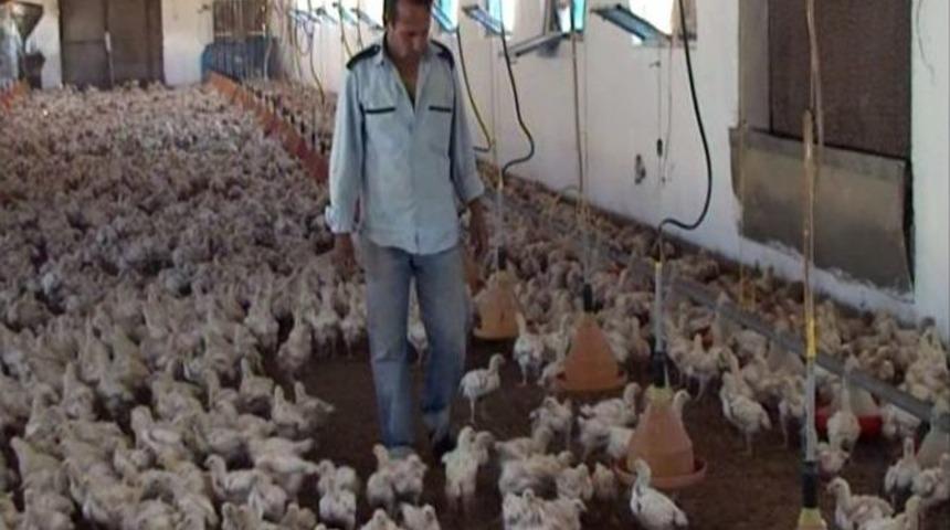 Savaştan Kaçan Suriyeli Faruk El Halef’in Elazığ’daki Yaşam Mücadelesi