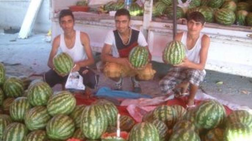 Okul Arkadaşları, İş Arkadaşı Oldu