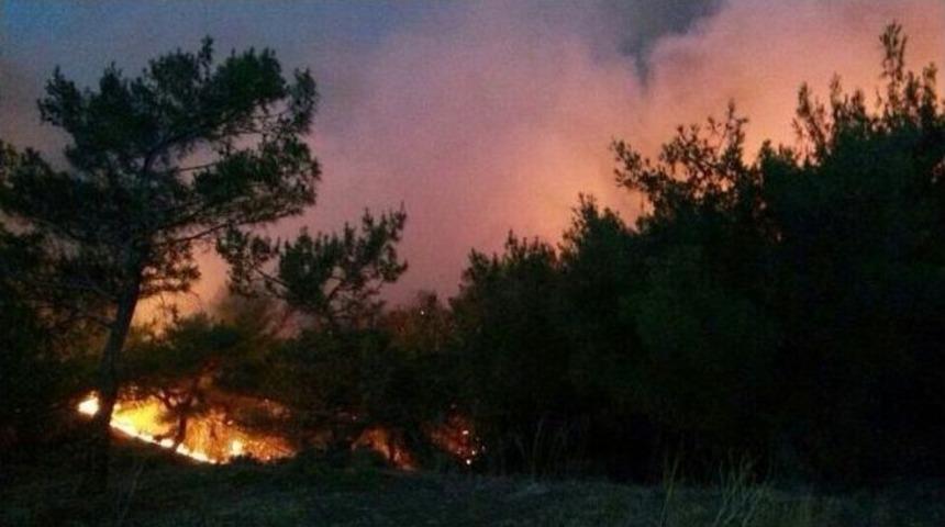 Kırıkhan'da Orman Yangını