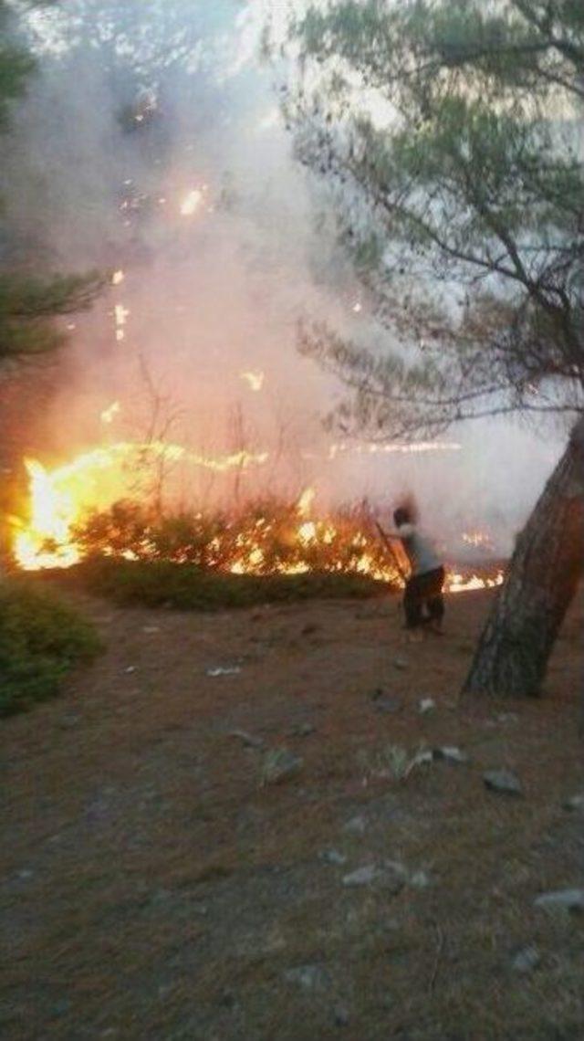 Kırıkhan'da Orman Yangını