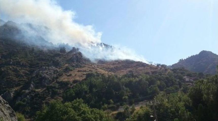 Manisa'da Orman Yangını