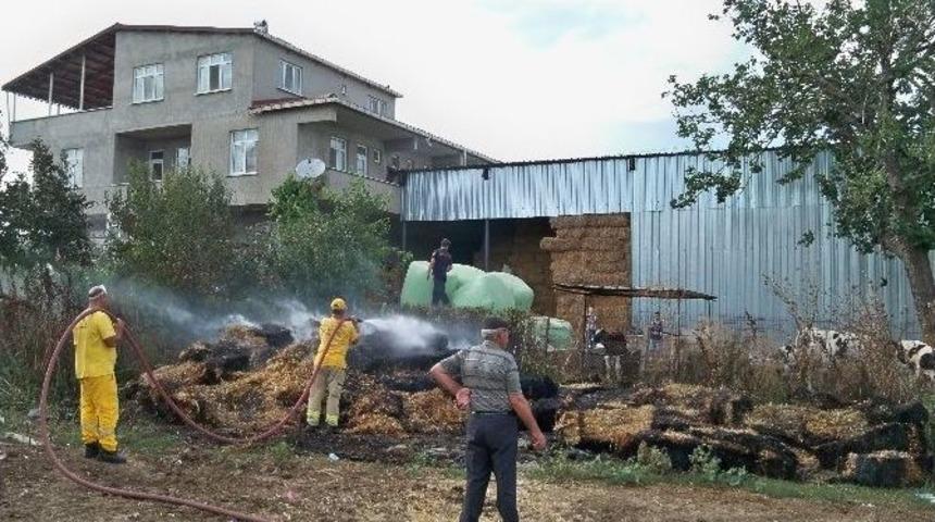 350 Balya K&uuml;l Oldu