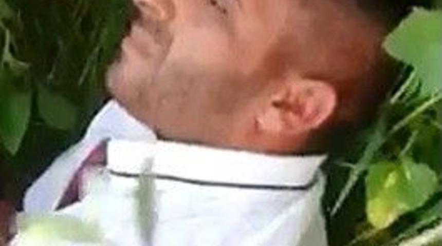 Bonzai Satıcısına Meydan Dayağı