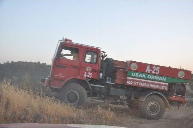 Uşak’ta Bir Haftada İkinci Orman Yangını