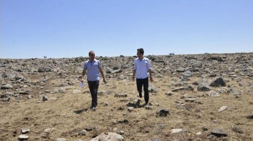 Siverek&rsquo;te Kent Ormanı &Ccedil;alışmaları Başladı